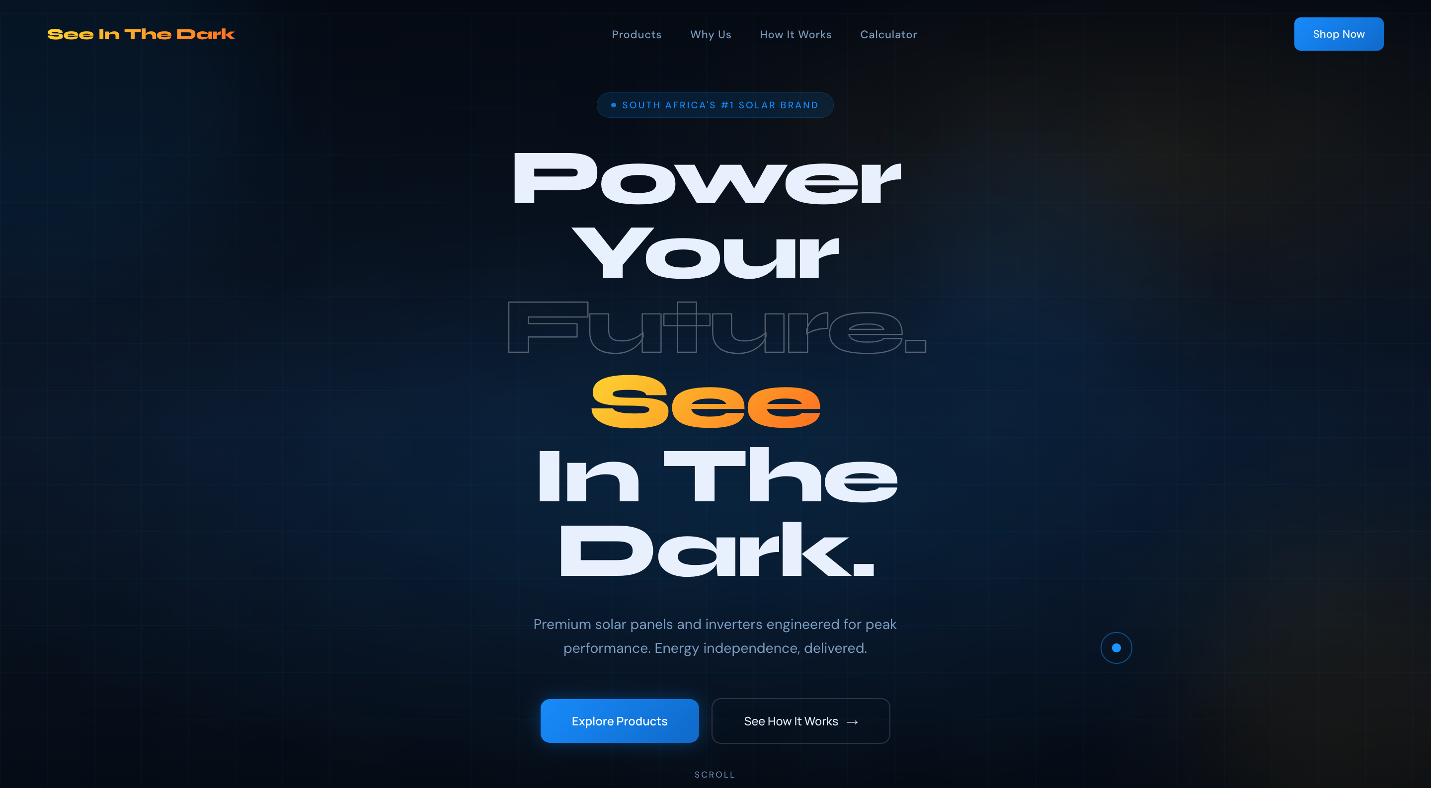 See In The Dark